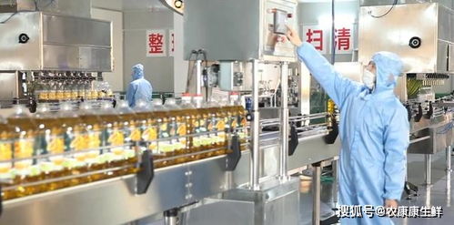 第23屆中國農產品加工業投資貿易洽談會即將在駐馬店隆重舉行